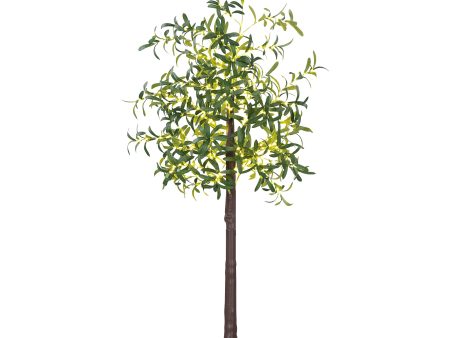 6ft Olive Tree Christmas Tree Artificial - with LED Lights Warm White 10 Tips For Cheap